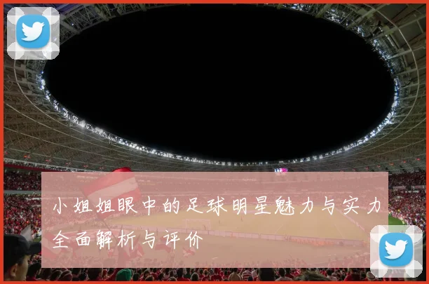 小姐姐眼中的足球明星魅力与实力全面解析与评价