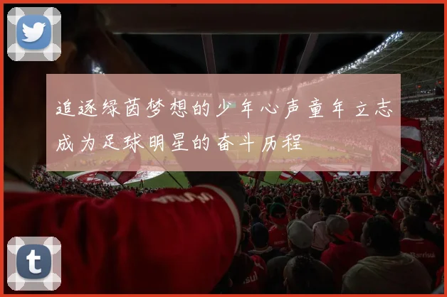 追逐绿茵梦想的少年心声童年立志成为足球明星的奋斗历程