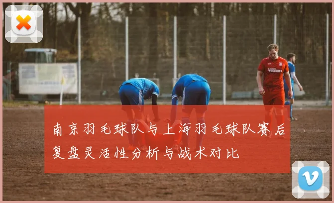 南京羽毛球队与上海羽毛球队赛后复盘灵活性分析与战术对比