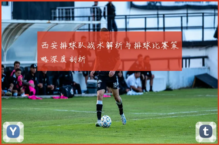 西安排球队战术解析与排球比赛策略深度剖析