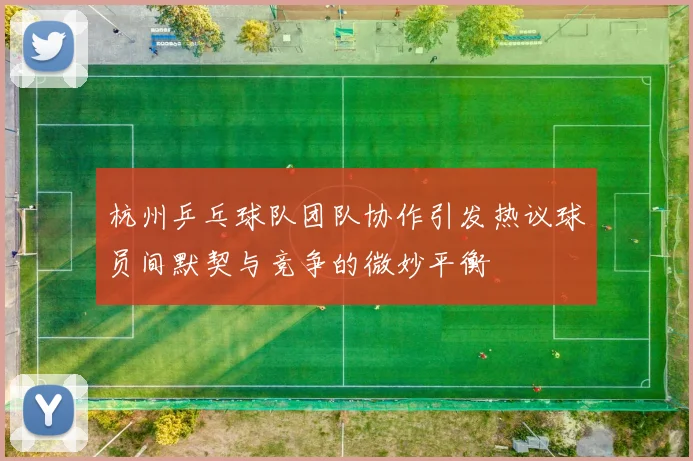 杭州乒乓球队团队协作引发热议球员间默契与竞争的微妙平衡