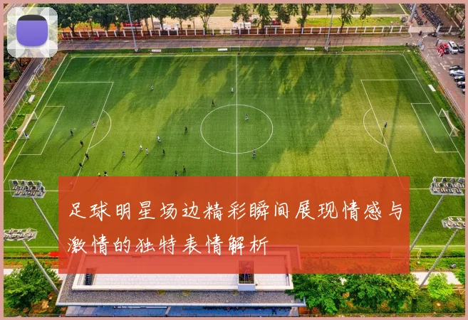 足球明星场边精彩瞬间展现情感与激情的独特表情解析