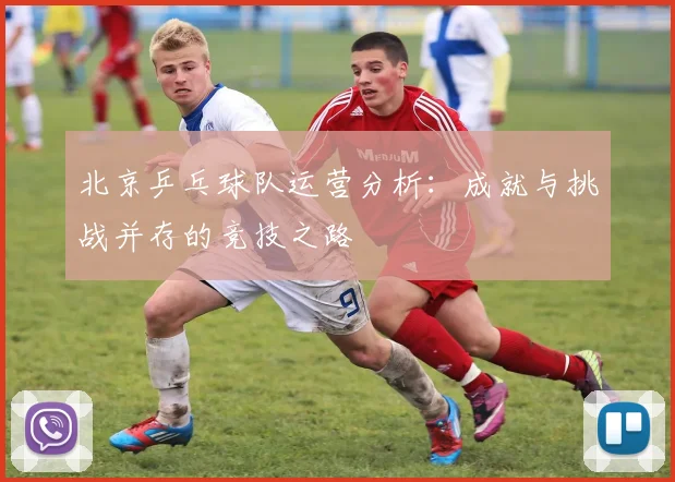 北京乒乓球队运营分析：成就与挑战并存的竞技之路